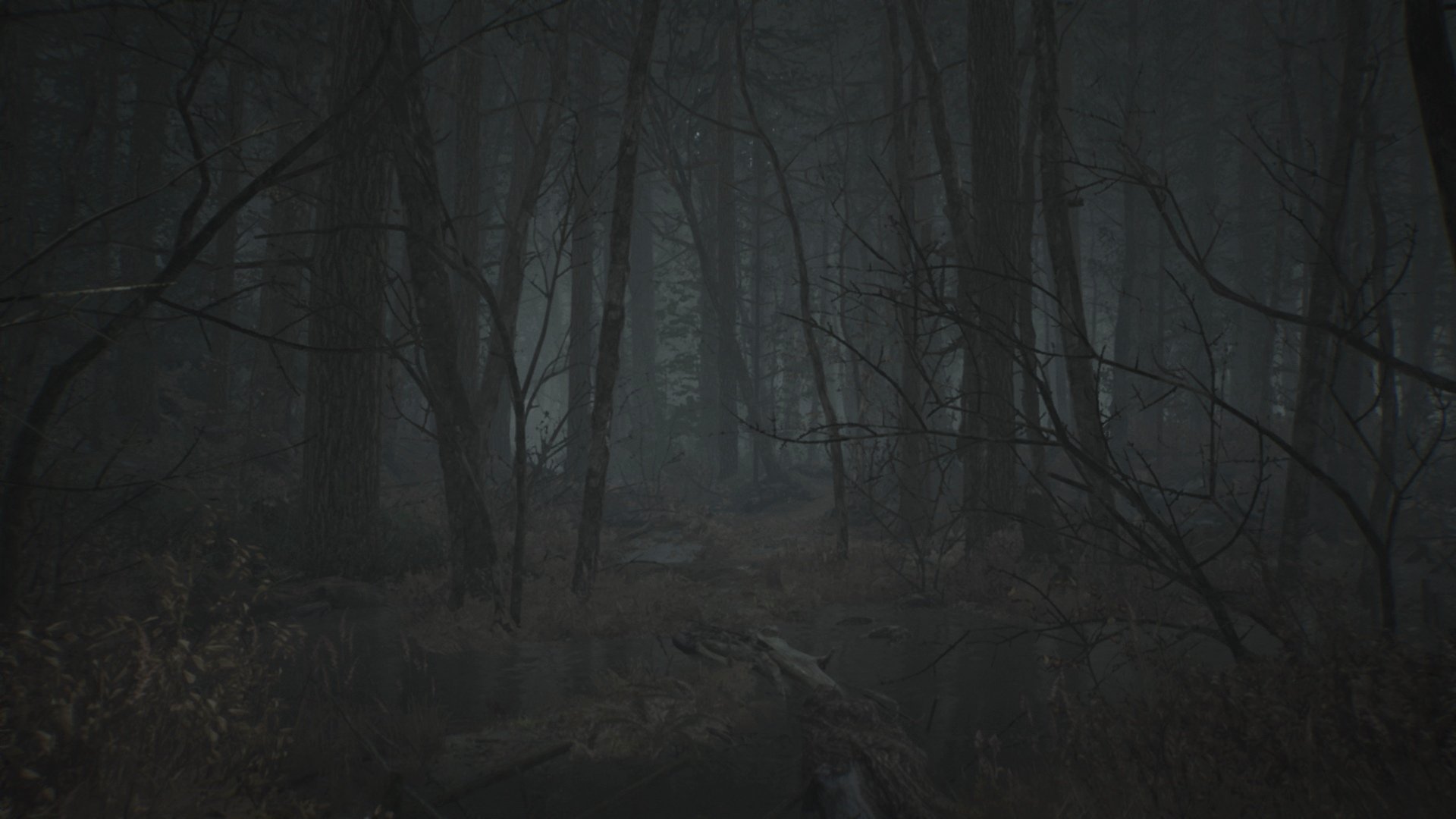 Blair Witch - Imagen 13